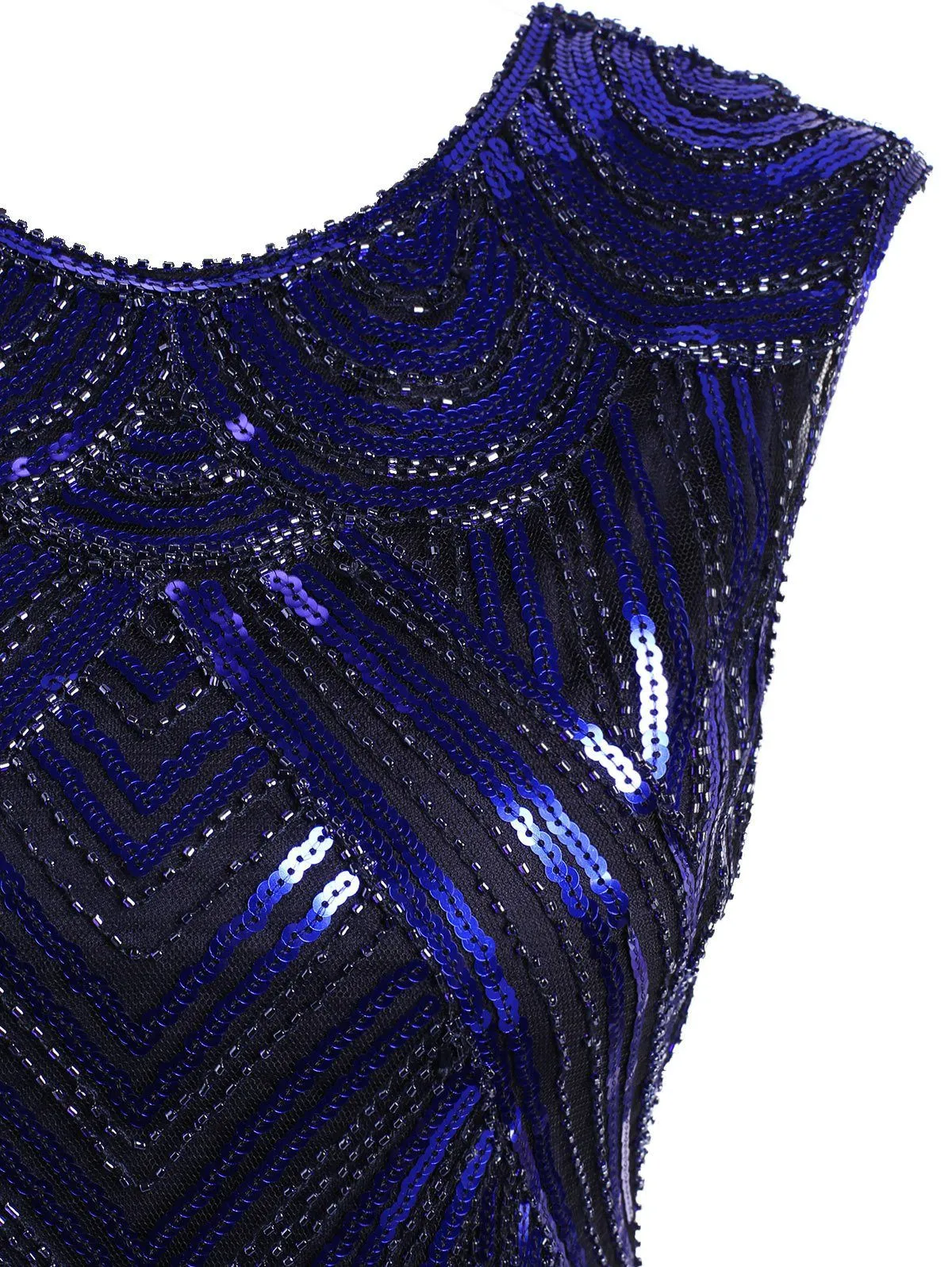 1920s Flapper Dress Fringed Sequin Roaring 20s Fancy Costume