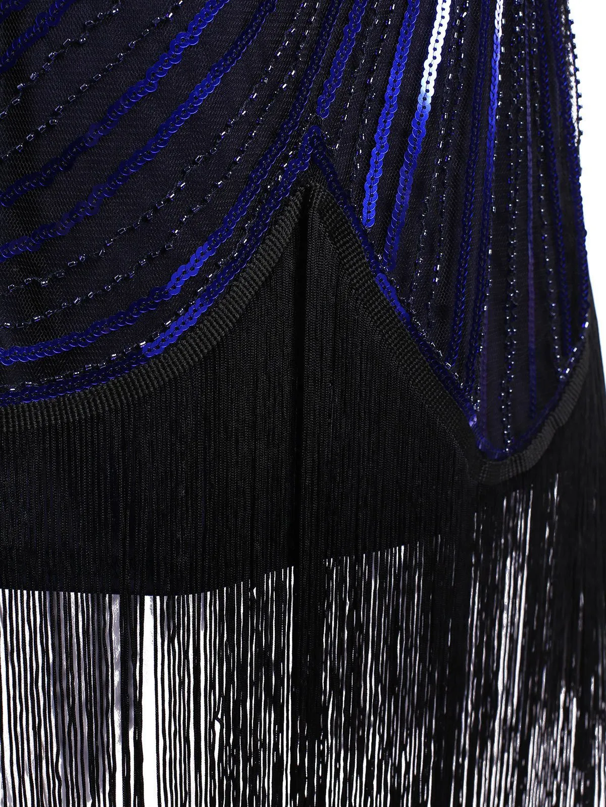 1920s Flapper Dress Fringed Sequin Roaring 20s Fancy Costume