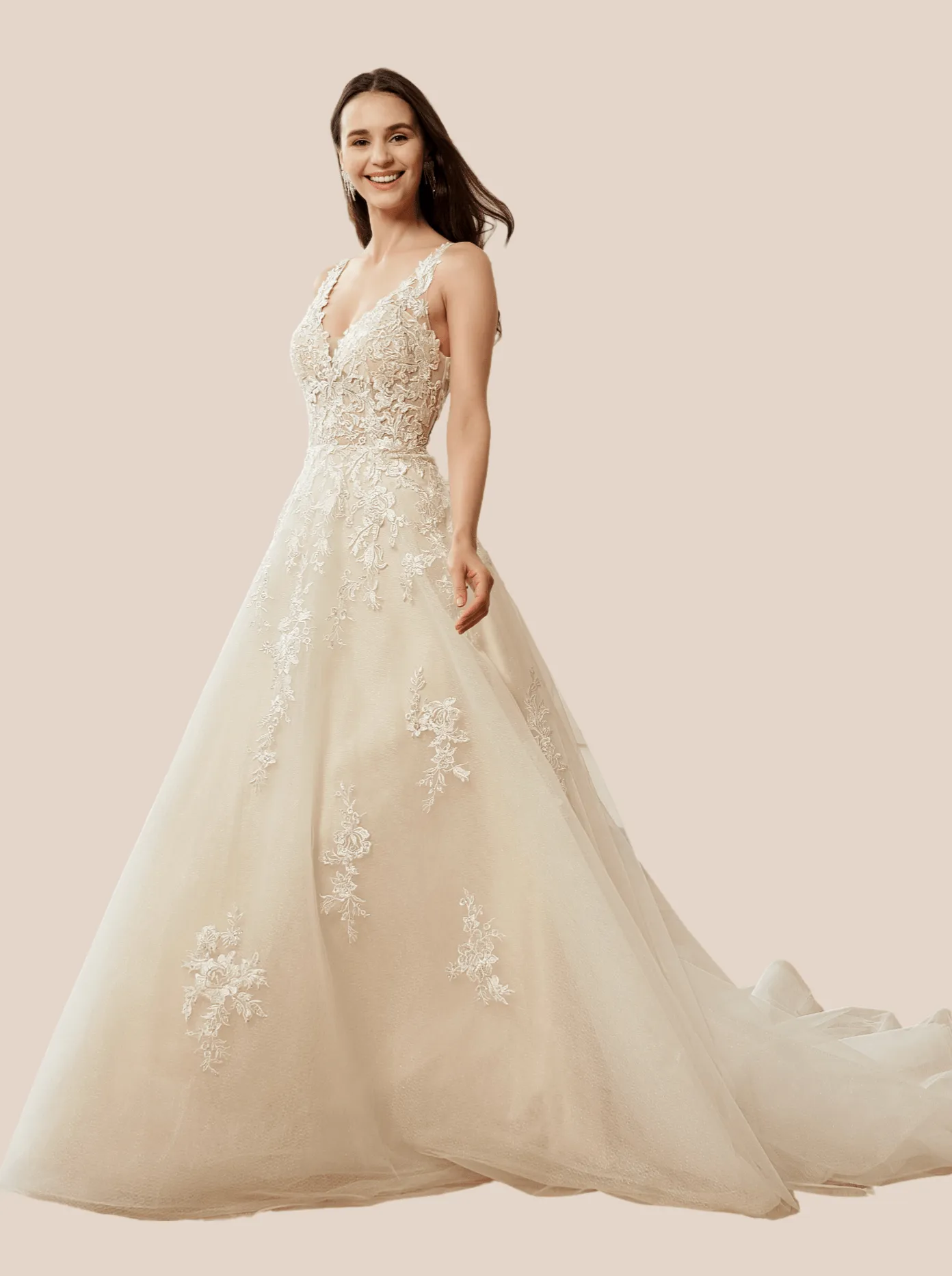 Annika applique lace wedding gown ivory/ivory with sparkle s16-18 Express NZ wide