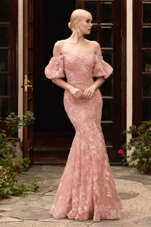 CD CD959B - Off the Shoulder Lace Embellished Organza Fit & Flare Prom Gown with Sweetheart Neckline