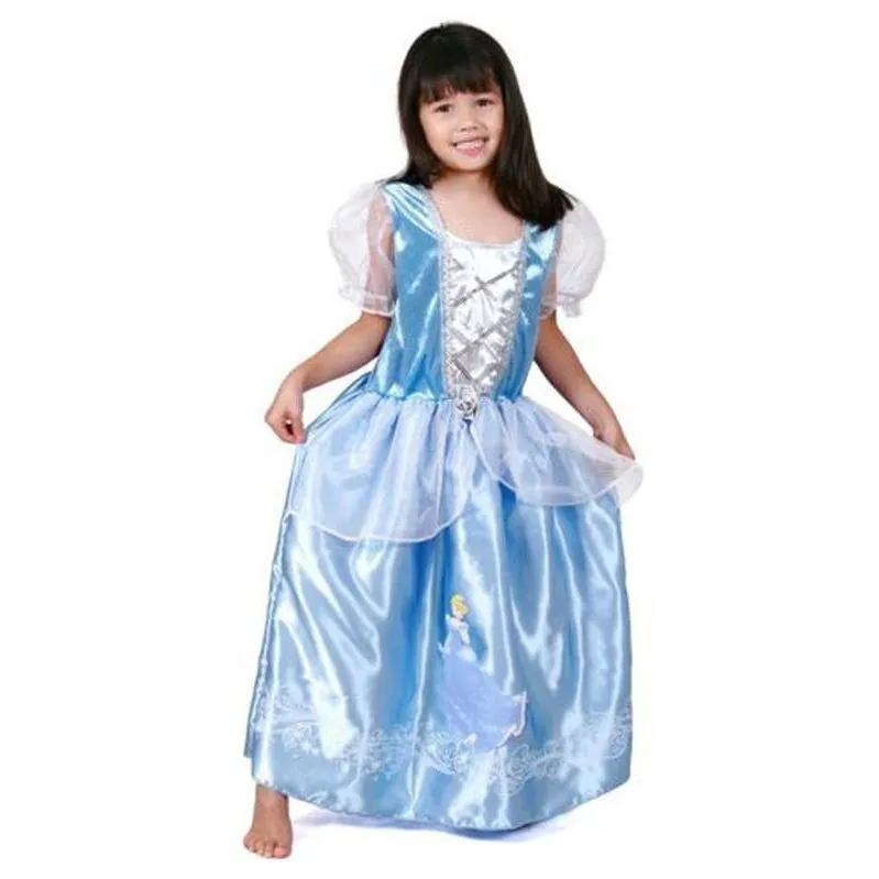 Cinderella Ornate Costume Size 6 8