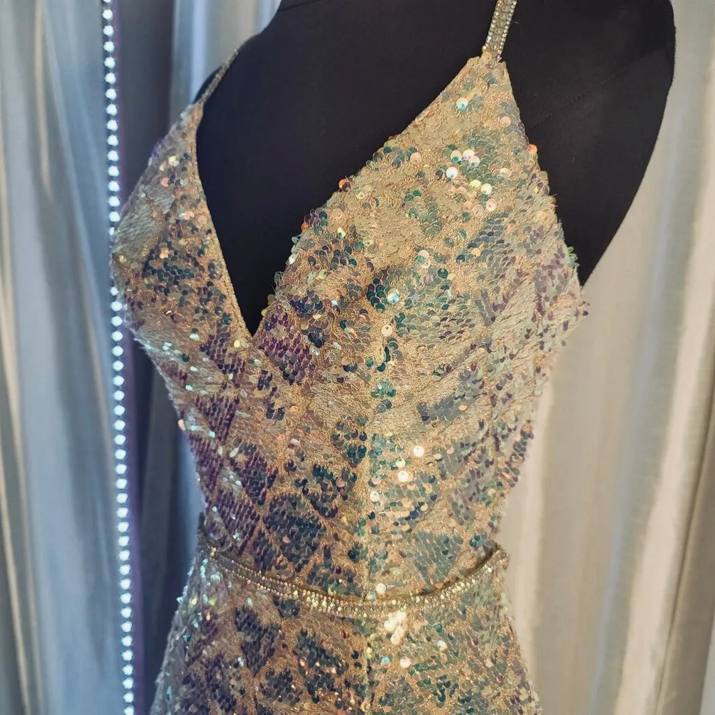 CLARISSE Style #800213 Long Gown Iridescente Size 2