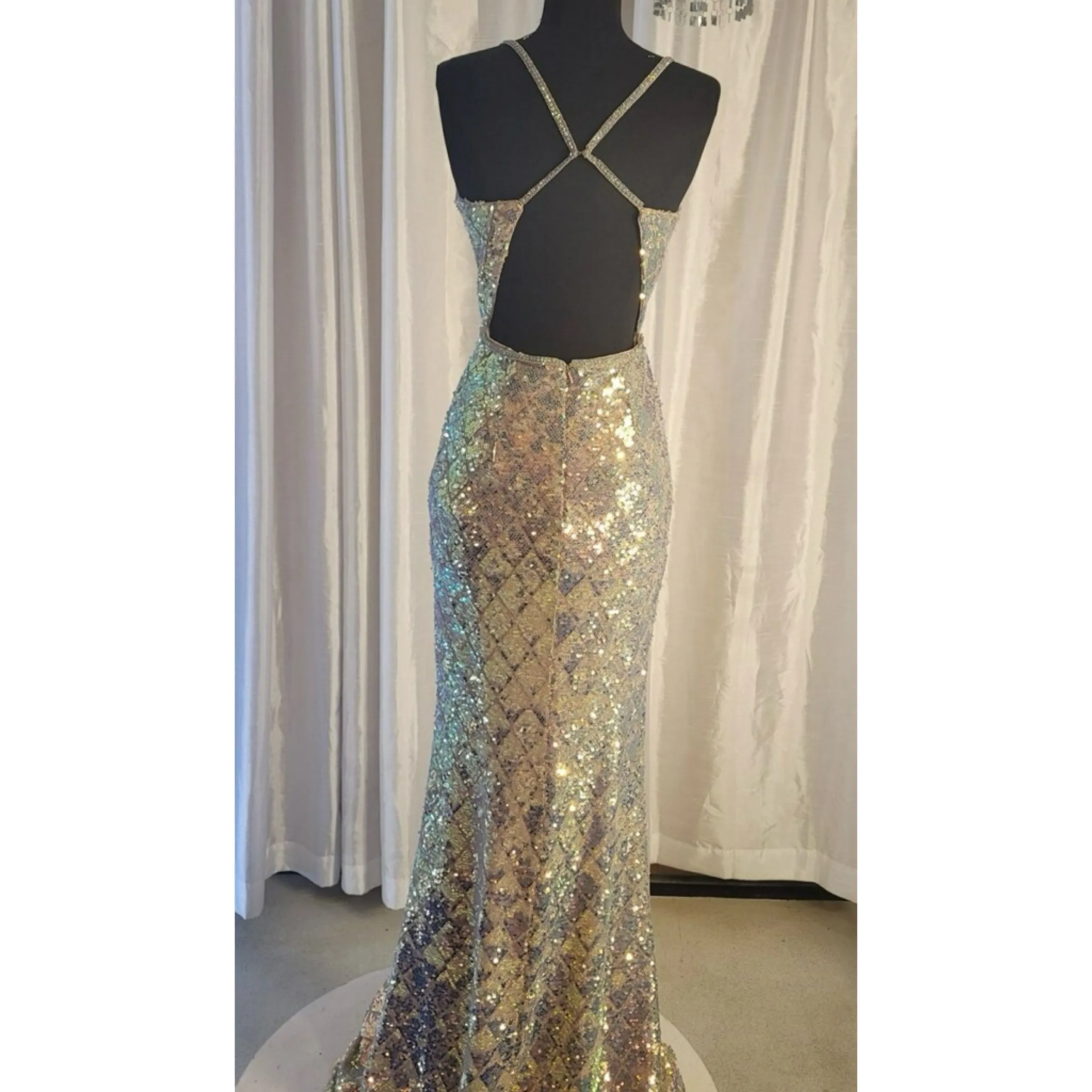 CLARISSE Style #800213 Long Gown Iridescente Size 2