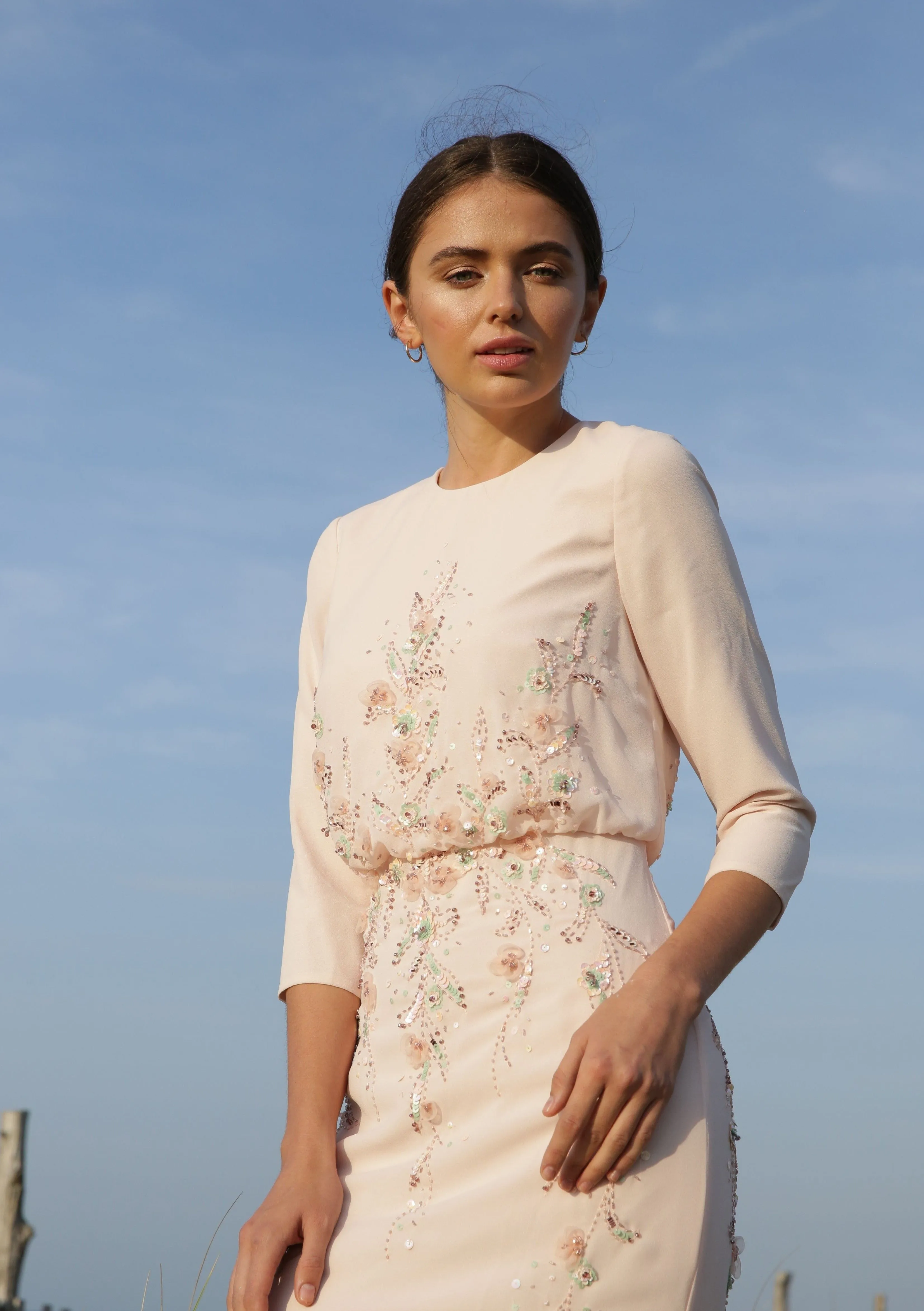 Gabrielle • Embroidered chiffon gown