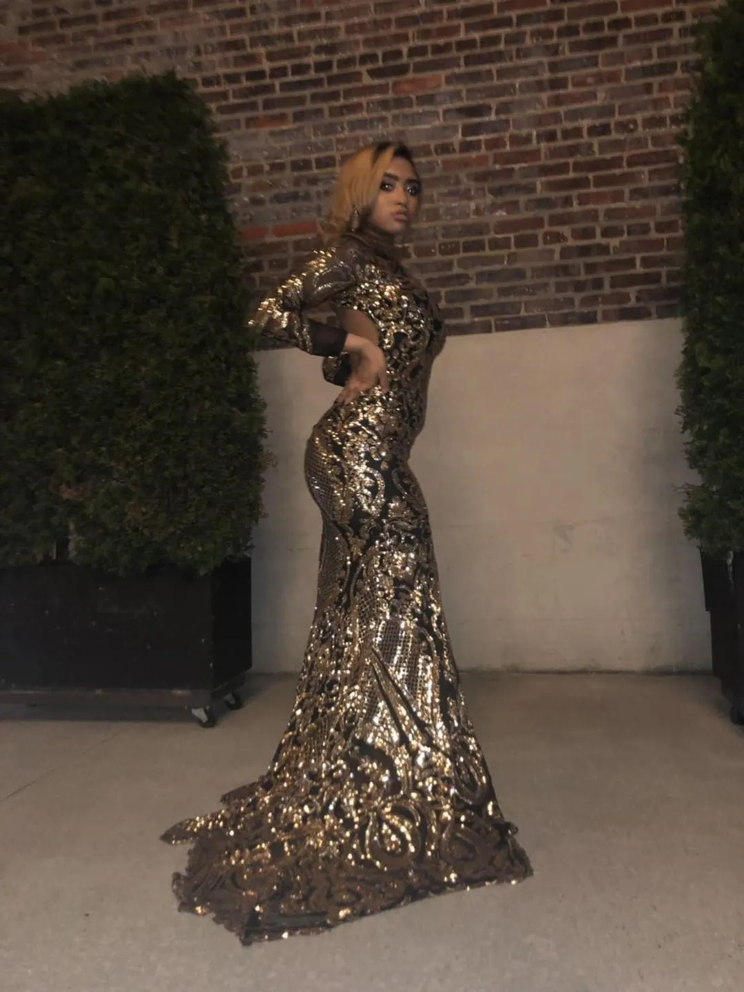 Gala goddess gown