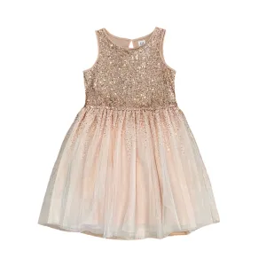 Gap Sequin Dress