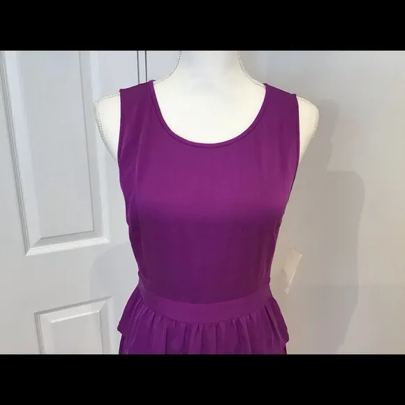 JOIE 100% silk peplum dress NWT Sz small