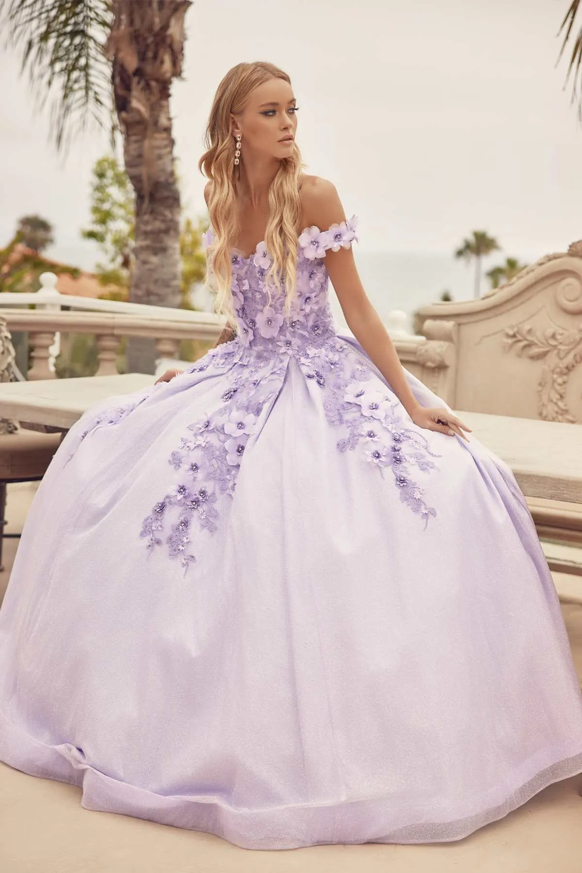 Juliet 1433 Dress Quinceanera Ball Gown 3D Floral Embroidered