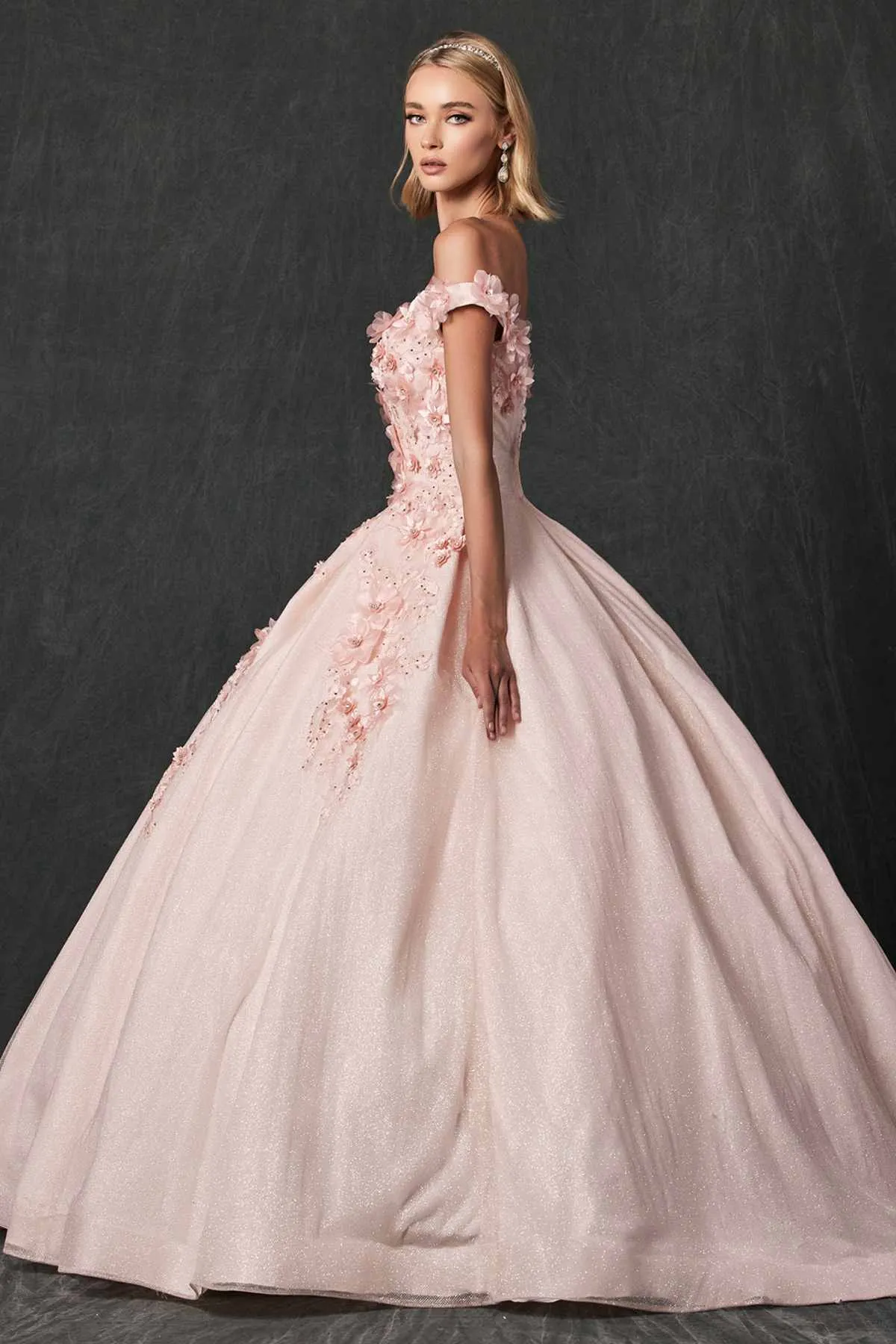 Juliet 1433 Dress Quinceanera Ball Gown 3D Floral Embroidered