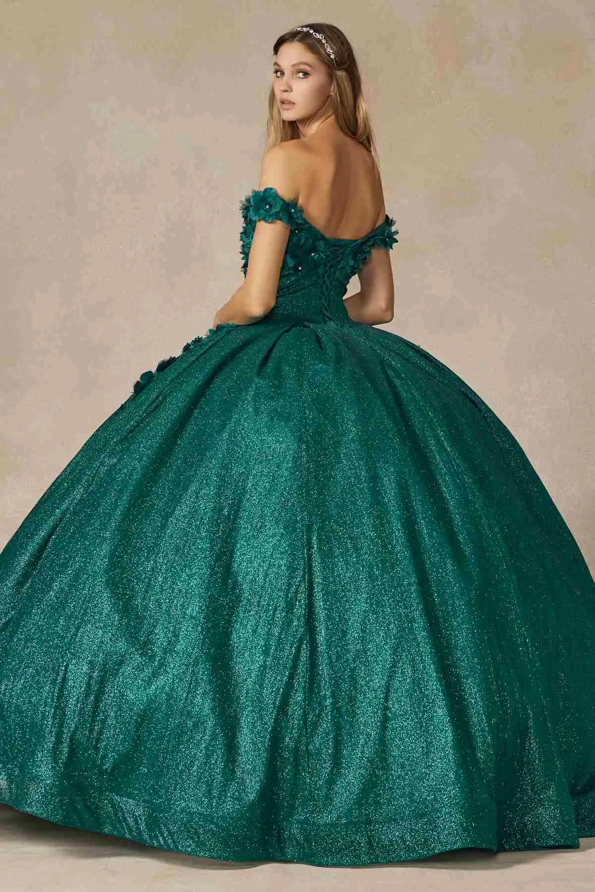 Juliet 1433 Dress Quinceanera Ball Gown 3D Floral Embroidered