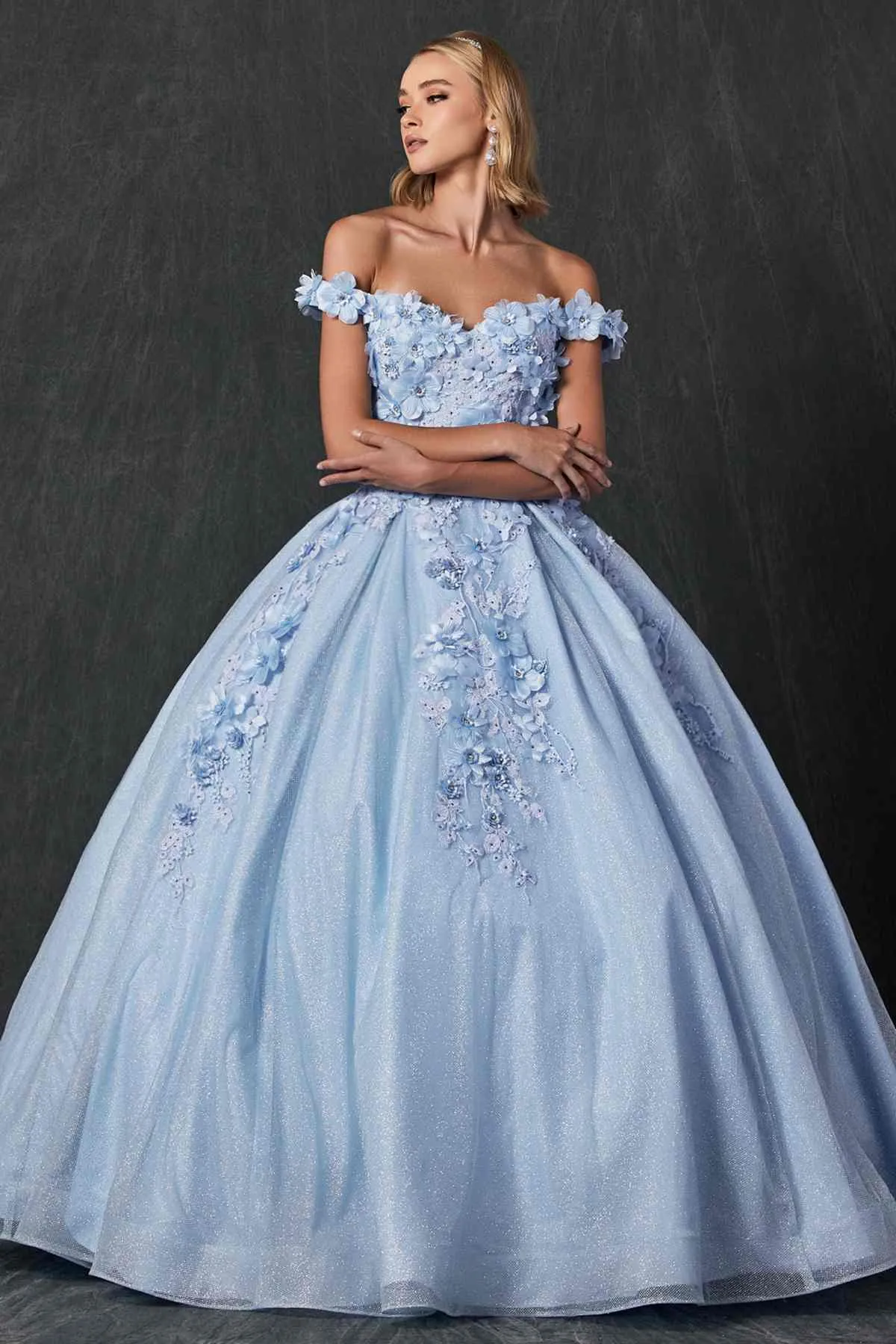 Juliet 1433 Dress Quinceanera Ball Gown 3D Floral Embroidered
