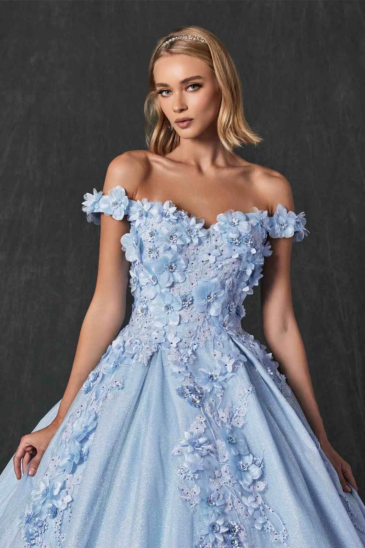 Juliet 1433 Dress Quinceanera Ball Gown 3D Floral Embroidered