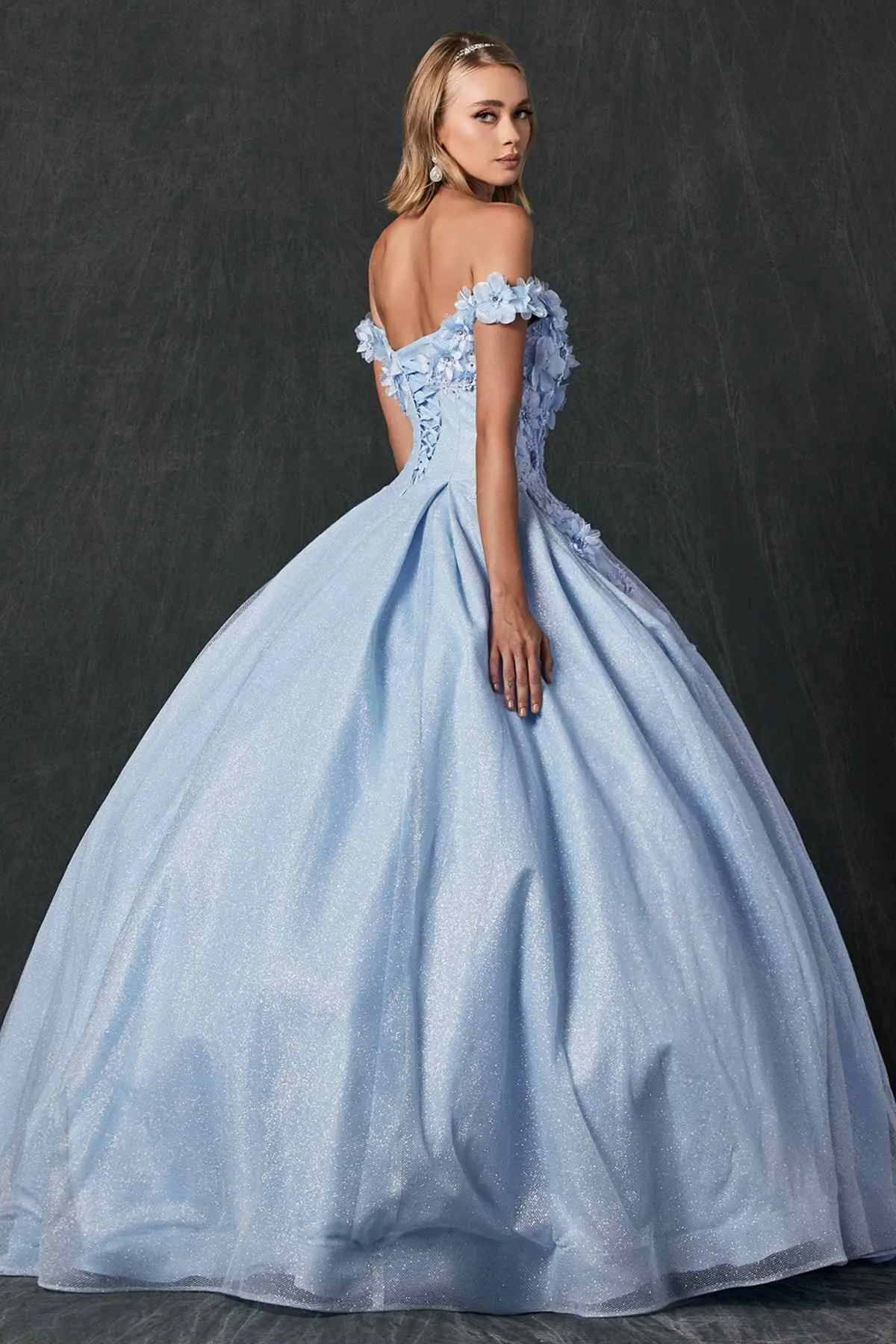 Juliet 1433 Dress Quinceanera Ball Gown 3D Floral Embroidered