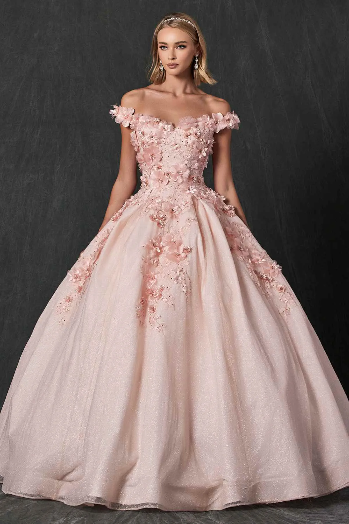 Juliet 1433 Dress Quinceanera Ball Gown 3D Floral Embroidered