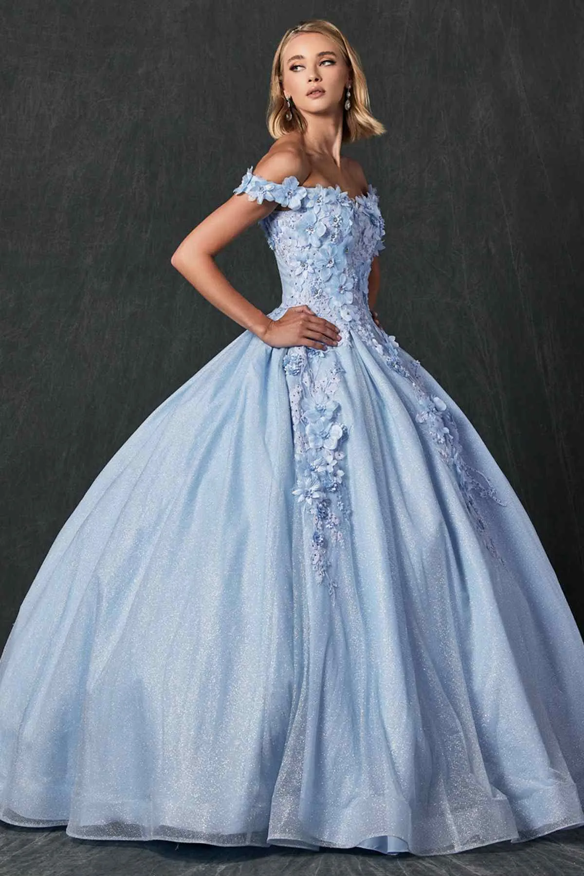 Juliet 1433 Dress Quinceanera Ball Gown 3D Floral Embroidered