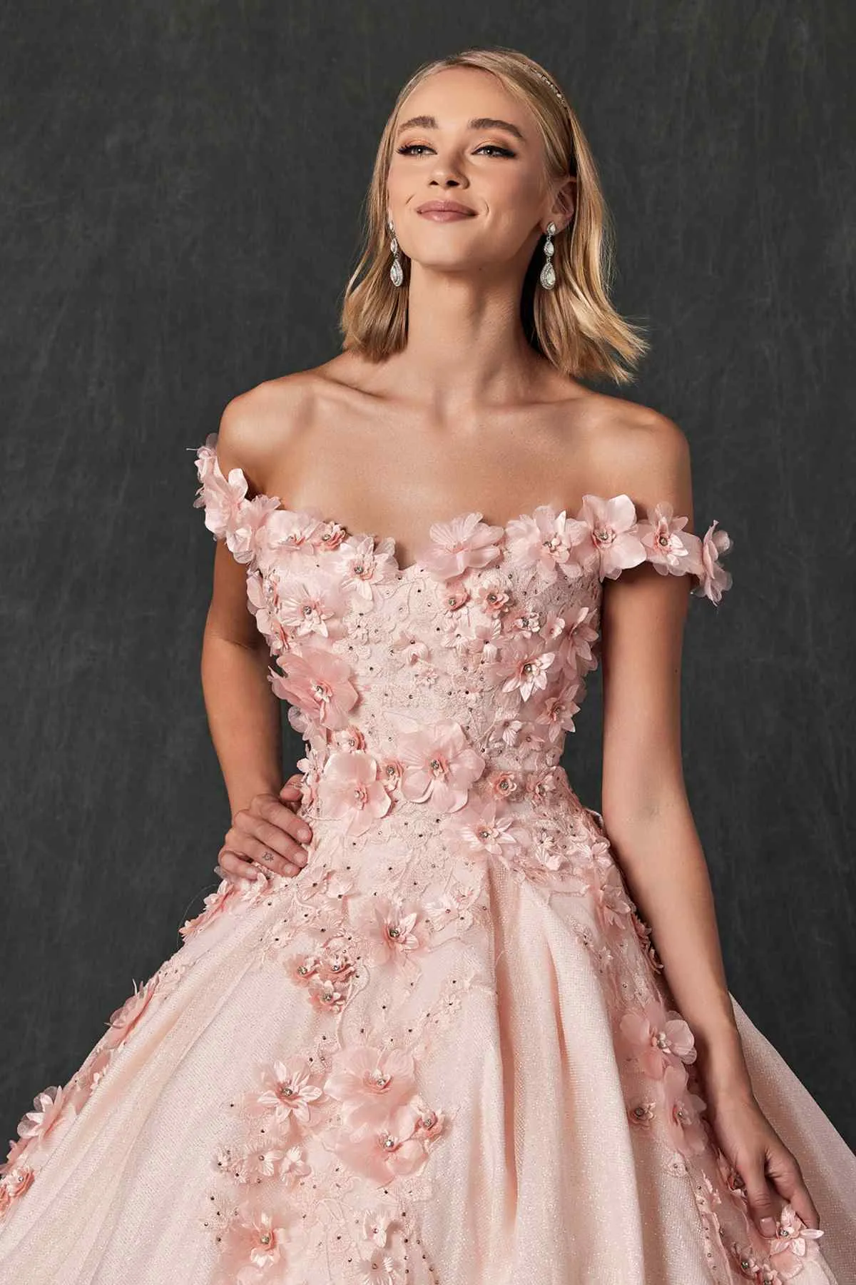 Juliet 1433 Dress Quinceanera Ball Gown 3D Floral Embroidered