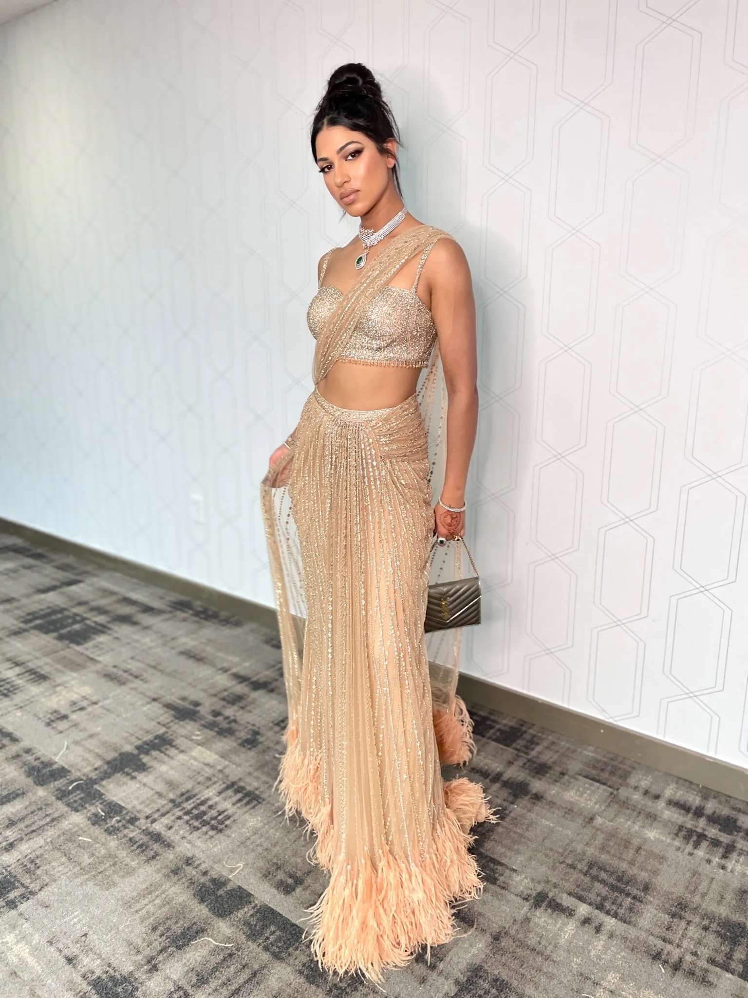 Nude Stone Embroidered Saree Gown