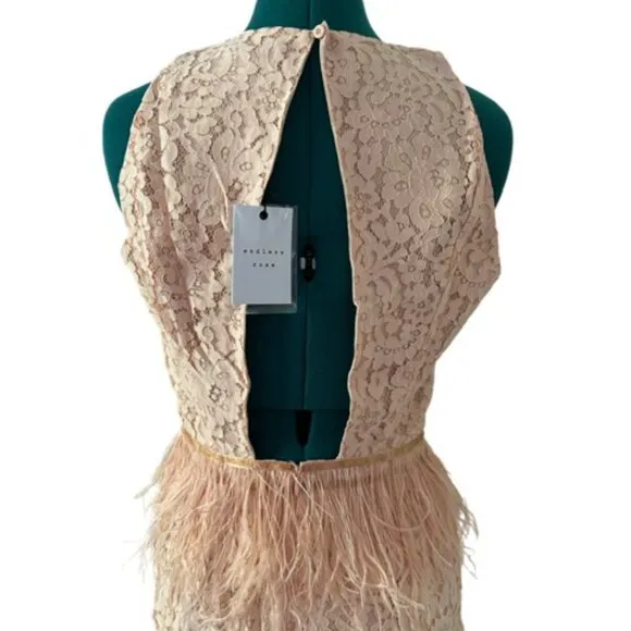 NWT Endless Rose Lace Feather Peplum Dress
