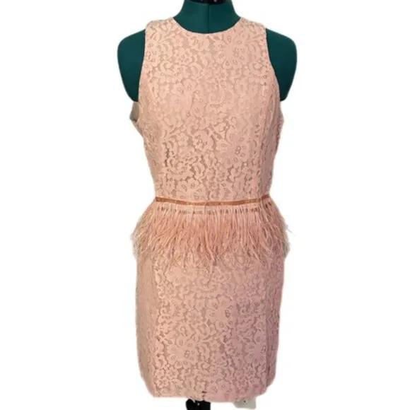 NWT Endless Rose Lace Feather Peplum Dress