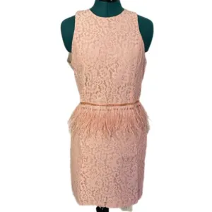 NWT Endless Rose Lace Feather Peplum Dress