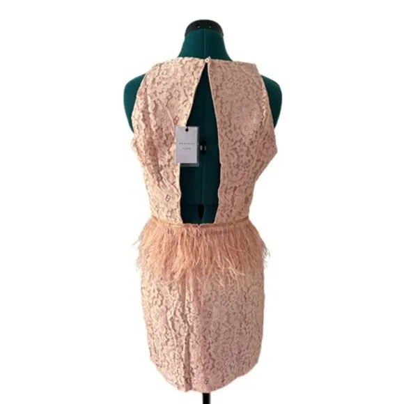 NWT Endless Rose Lace Feather Peplum Dress