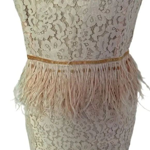 NWT Endless Rose Lace Feather Peplum Dress
