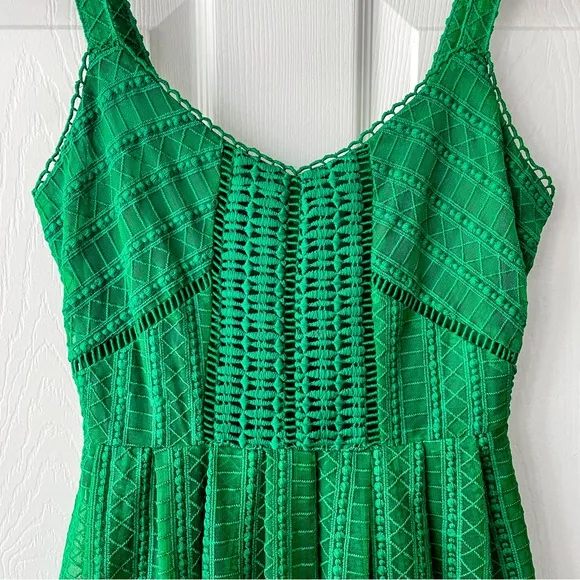 REVOLVE Greylin lace dress.