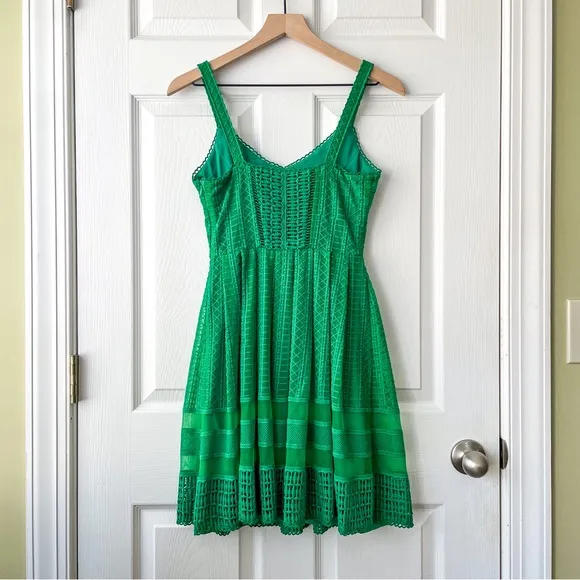 REVOLVE Greylin lace dress.
