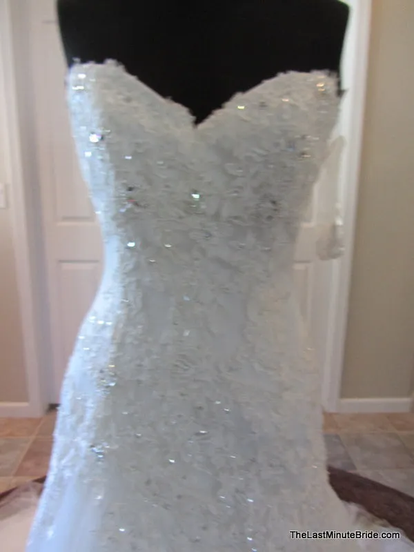 Sophia Tolli Y21246 Jillian