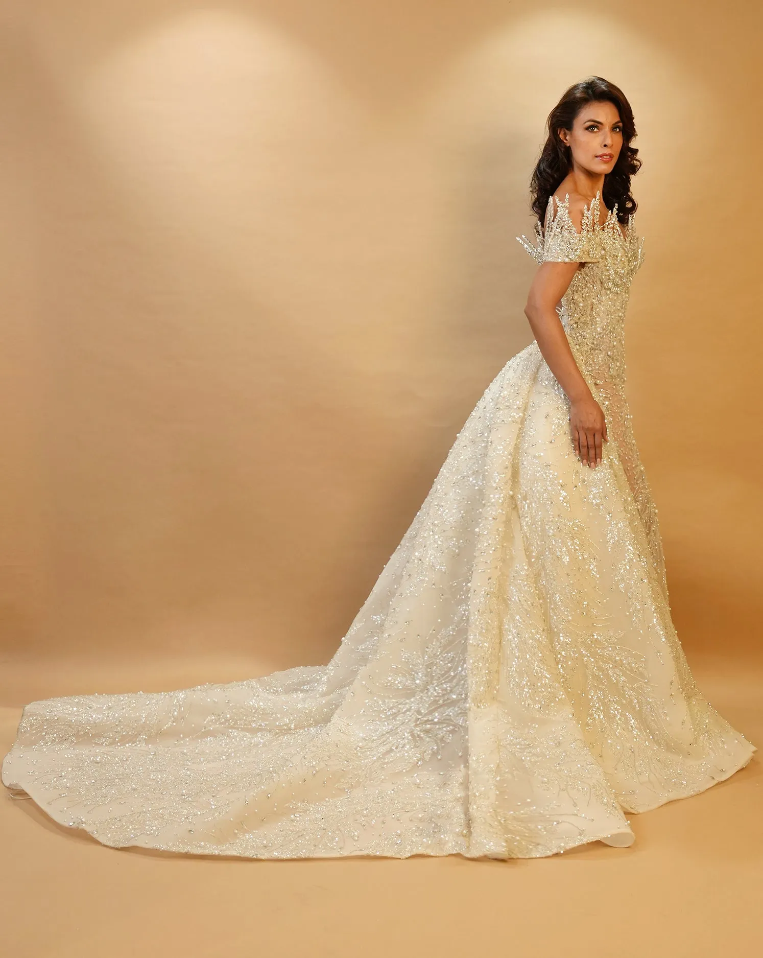 The Frozen Gown