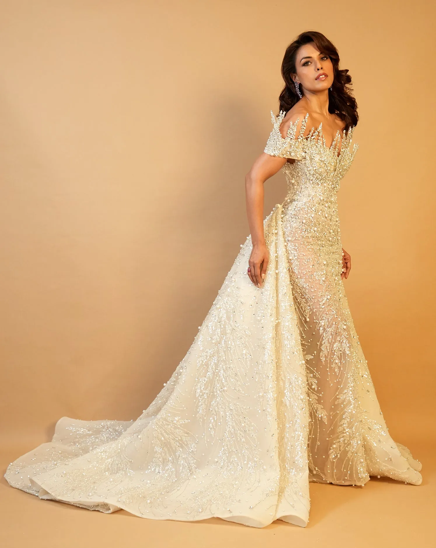 The Frozen Gown