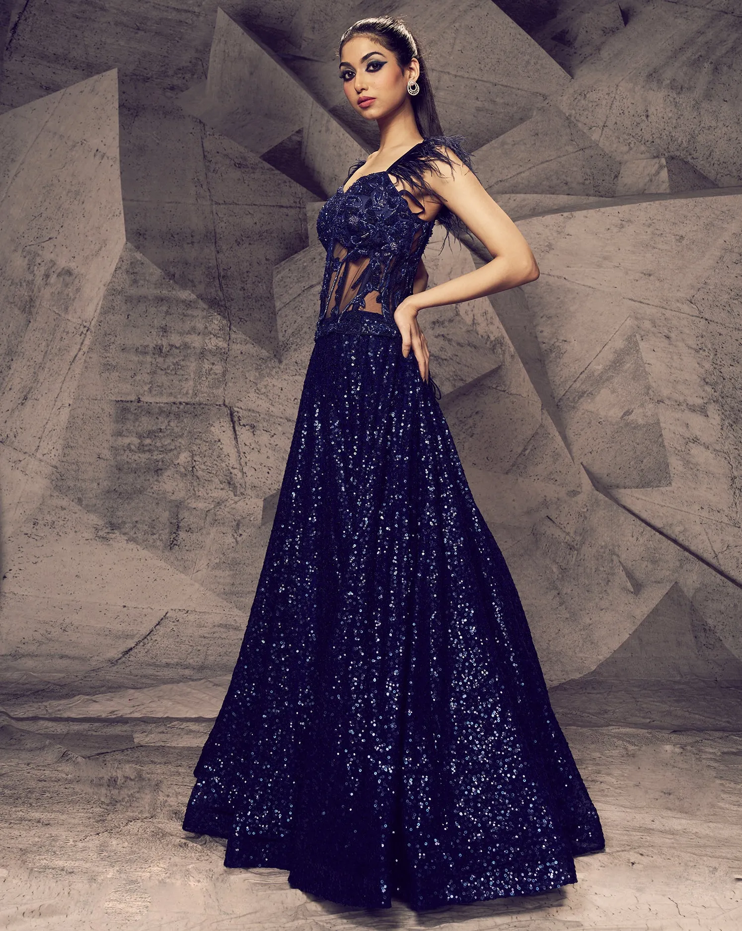 The Shimmering Blue Gown