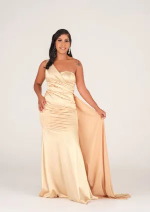 The Sierra Gown