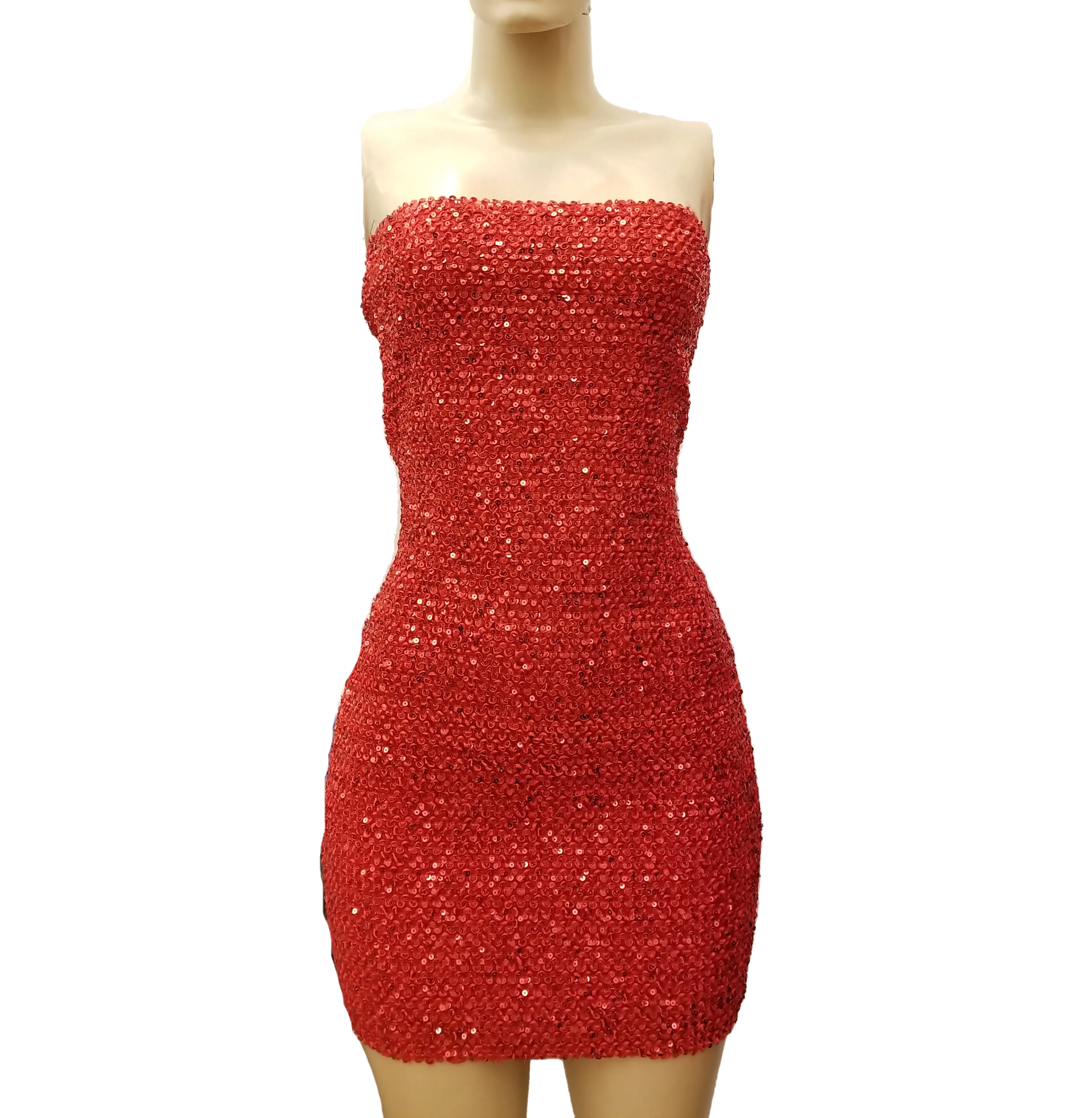 Women's Sequin Tube Mini Dress With Zipper Back